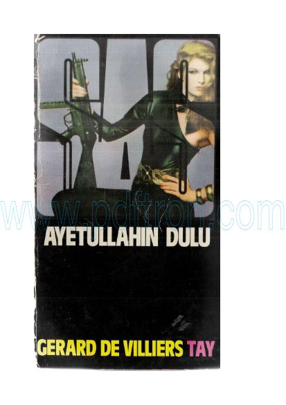 Cover of Gerard De Williers - 53 Ayetullah.pdf